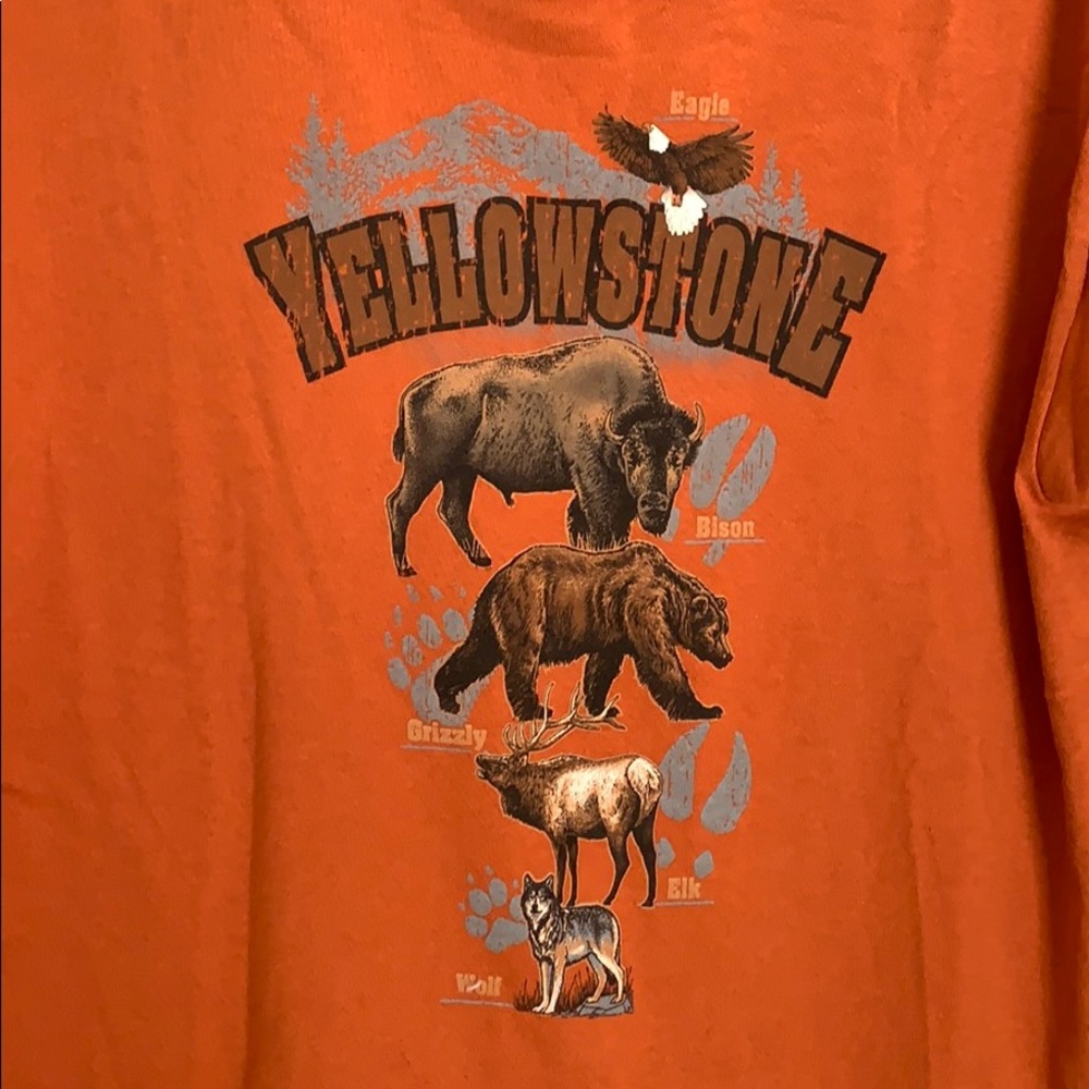 $10 SALE YELLOWSTONE Eagle grizzly elk wolf shirt - Picture 2 of 4